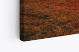 Paul Sinus Wandbild 120x80cm Baum Morgentau Sonnenaufgang Feld Natur Nebel