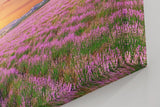 Sinus Art Wandbild 120x80cm Unendliches Lavendelfeld im warmen Licht des Sonnenuntergangs – beruhigend und harmonisch