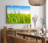 Paul Sinus Wandbild 120x80cm Weizenfeld Weizen Sommer blauer Himmel Natur
