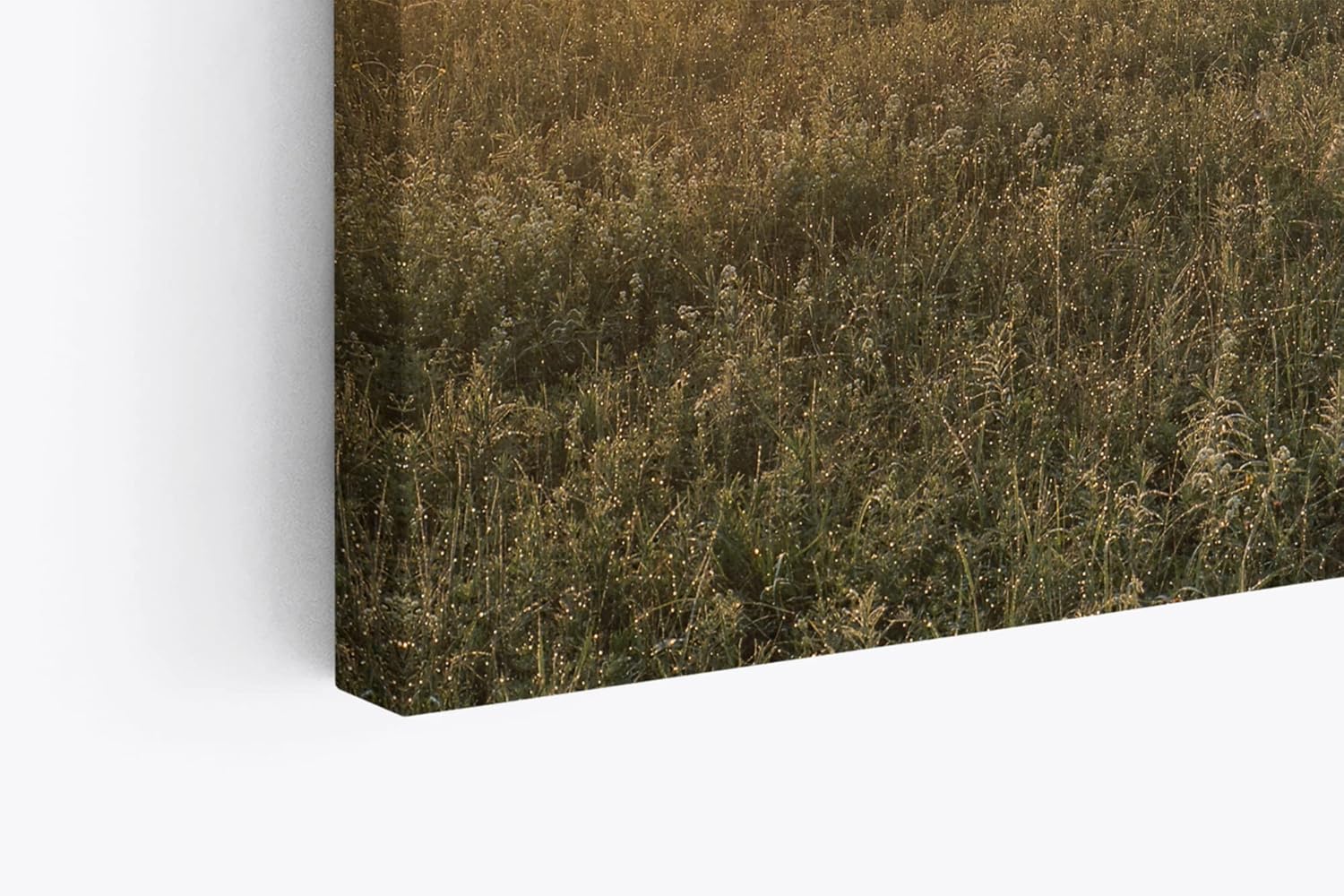 Paul Sinus Wandbild 120x80cm Wiese Kühe Weide Morgentau Sonnenaufgang Feld