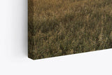 Paul Sinus Wandbild 120x80cm Wiese Kühe Weide Morgentau Sonnenaufgang Feld