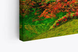 Paul Sinus Wandbild 120x80cm Großer alter Baum Grün Moos Wald Baumkrone