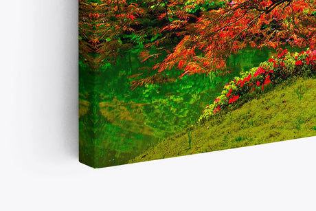 Paul Sinus Wandbild 120x80cm Großer alter Baum Grün Moos Wald Baumkrone