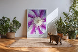 Paul Sinus Kunstdruck 40x60cm Clematis Bloom – violett-weiße Blüte in symmetrischer Komposition mit Fokus auf Zentrum