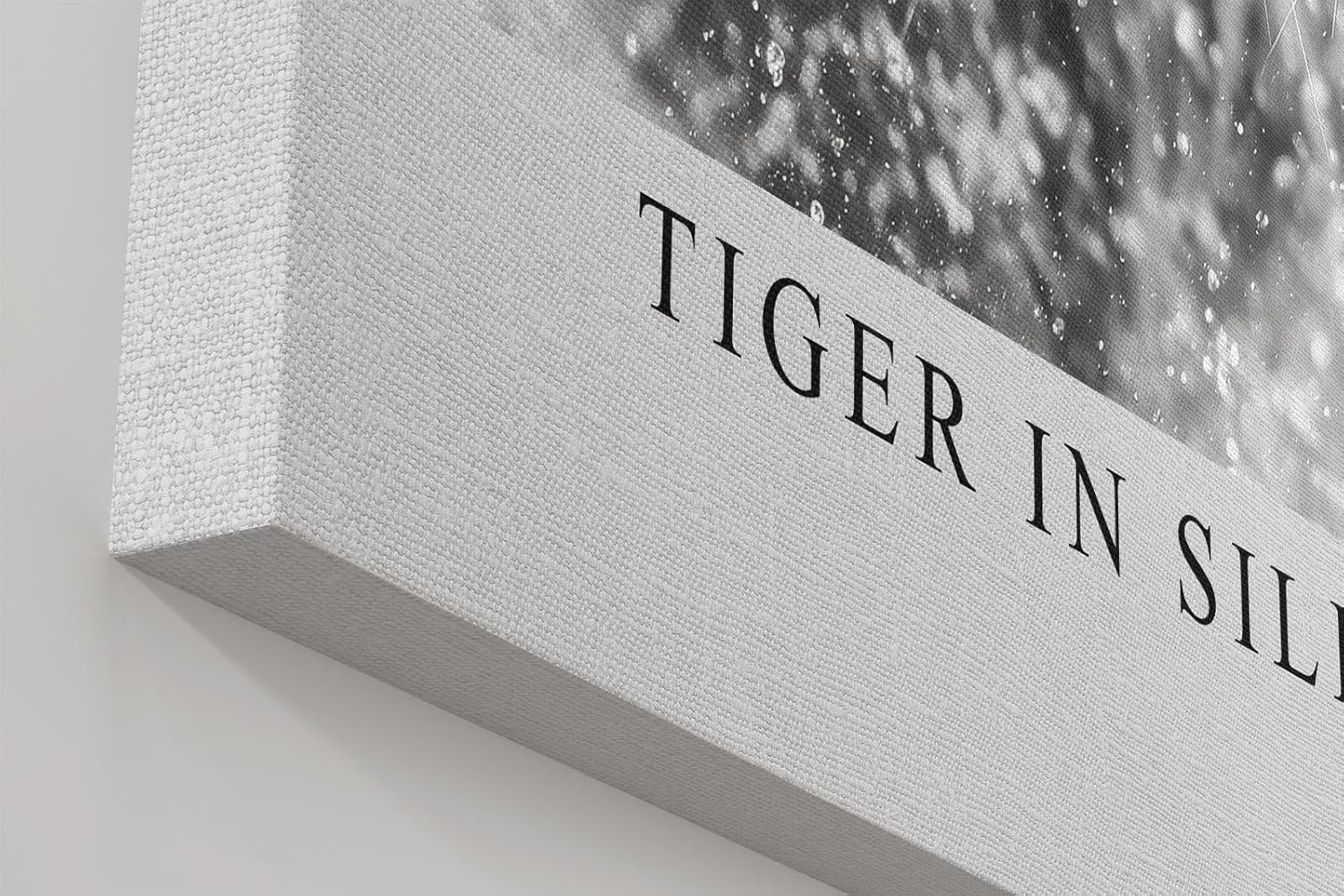 Paul Sinus Wandbild in 40x60cm Tiger in Silence – Ausdrucksstarkes Schwarz-Weiß-Porträt eines Tigers im Wasser