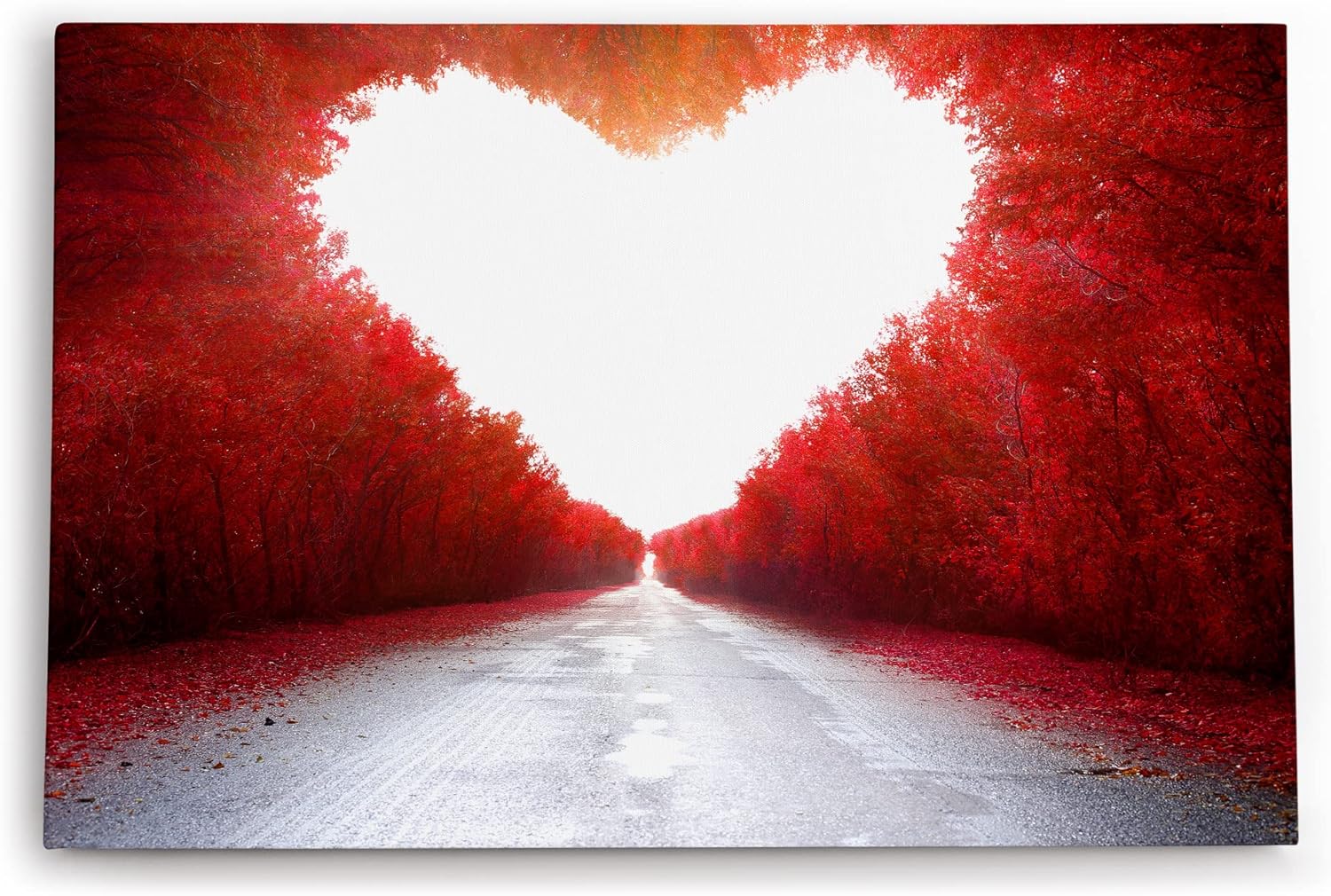 Paul Sinus Wandbild 120x80cm Baumallee Allee Bäume Herzform Rot Kunstvoll Straße
