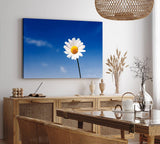 Paul Sinus Wandbild 120x80cm Gänseblümchen Blume blauer Himmel Sonnenschein