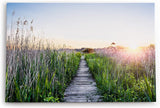 Paul Sinus Wandbild 120x80cm Sommer Sonnenaufgang Holzweg Natur Gras Strandweg