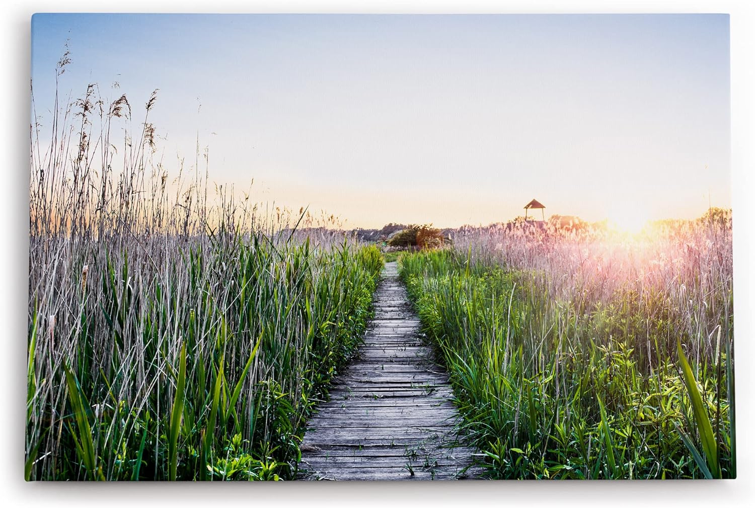 Paul Sinus Wandbild 120x80cm Sommer Sonnenaufgang Holzweg Natur Gras Strandweg