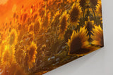 Sinus Art Wandbild 120x80cm Feld voller Sonnenblumen im goldenen Licht eines spektakulären Sonnenuntergangs
