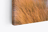 Paul Sinus Wandbild 120x80cm Ostsee Horizont Sandstrand Strand Meer roter Himmel