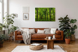Sinus Art Wandbild 120x80cm Dichte Baumreihen und leuchtendes Laub schaffen eine friedliche, harmonische Stimmung