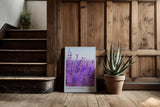 Paul Sinus Kunstdruck 40x60cm Lavender Field – Nahaufnahme blühender Lavendelzweige im Sommerlicht