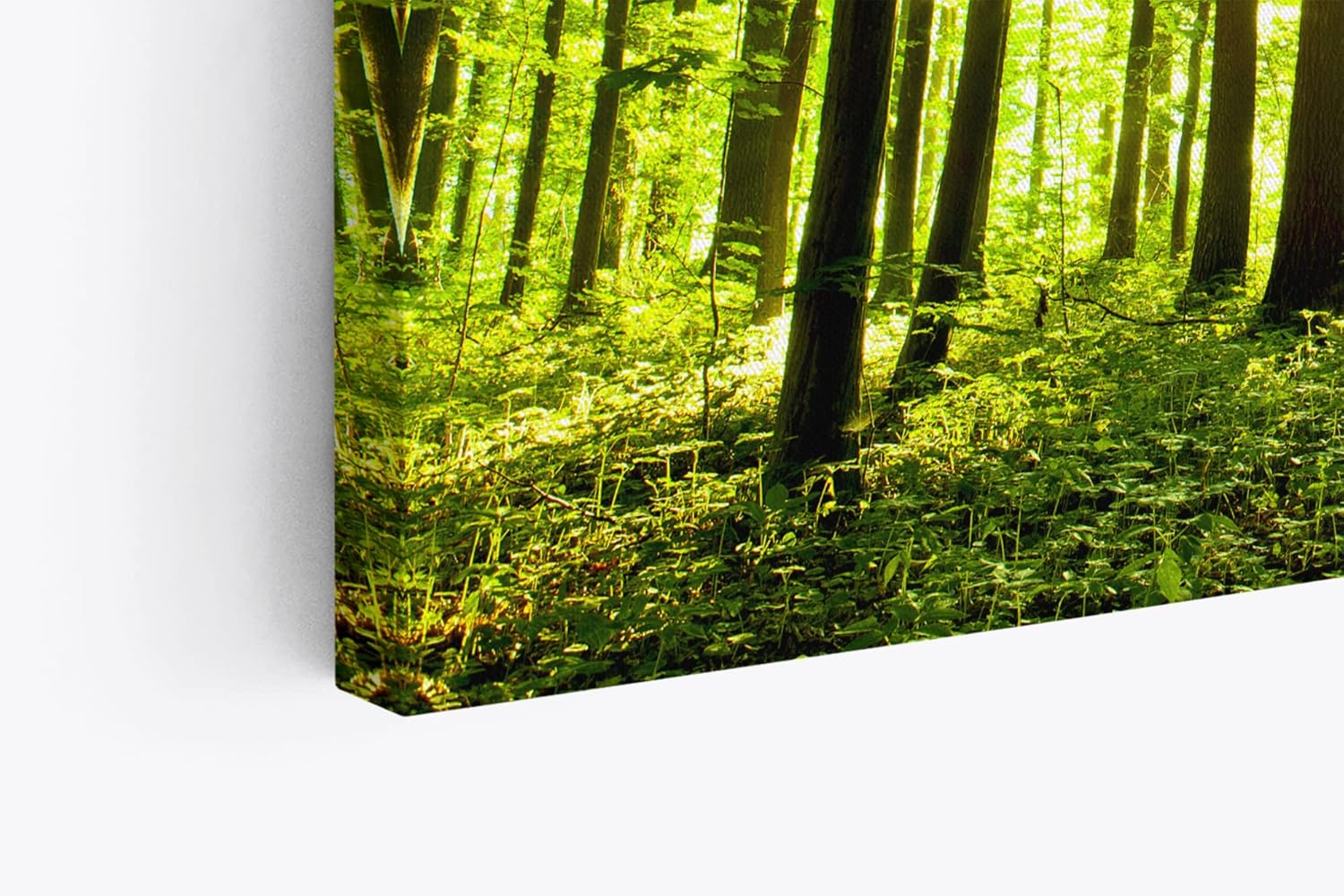 Paul Sinus Wandbild 120x80cm Wald Bäume Sonnenstrahlen Natur Sommer Grün