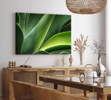 Paul Sinus Wandbild 120x80cm Pflanze Grün Nahaufnahme Fotokunst Natur Dekorativ