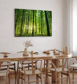 Paul Sinus Wandbild 120x80cm Wald Bäume Sonnenstrahlen Natur Sommer Grün
