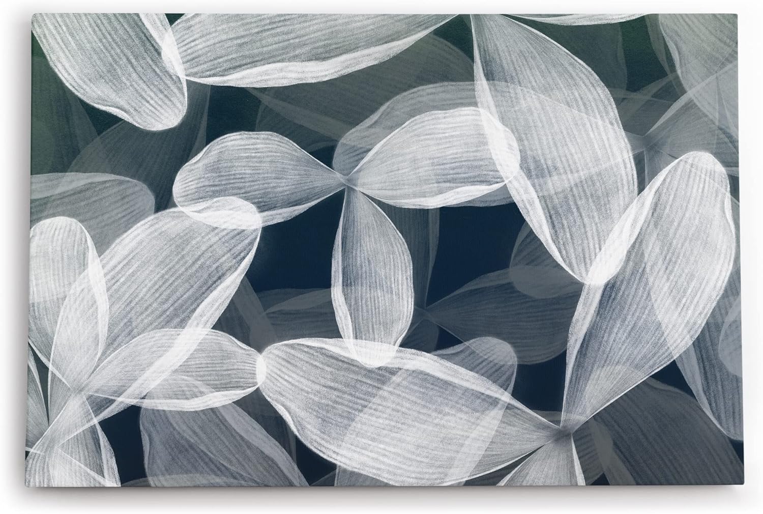 Paul Sinus Wandbild 120x80cm Blumen Blüten Grau Fotokunst Abstrakt Dekorativ