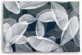 Paul Sinus Wandbild 120x80cm Blumen Blüten Grau Fotokunst Abstrakt Dekorativ