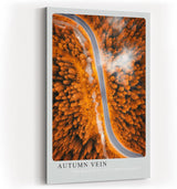 Paul Sinus Kunstdruck 40x60cm Autumn Vein mit Luftaufnahme einer Straße durch herbstlichen Wald