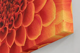 Sinus Art Wandbild 120x80cm Faszinierende Blütenstruktur in perfekter Symmetrie als Symbol für Schönheit und Harmonie
