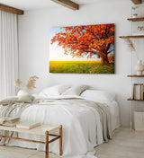 Wandbild 120x80cm Große Eiche Baum Natur Feld Landschaft Horizont