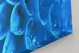 Sinus Art Wandbild 120x80cm Die Tropfen auf der blauen Blüte bringen Frische, Eleganz und Tiefe in den Raum