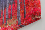 Sinus Art Wandbild 120x80cm Kontrastreiches Bild mit blau-grauen Baumstämmen und leuchtend rotem Waldboden