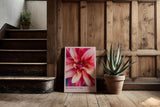 Paul Sinus Kunstdruck 40x60cm Blooming Fire mit feuriger Blüte in intensiven Rottönen