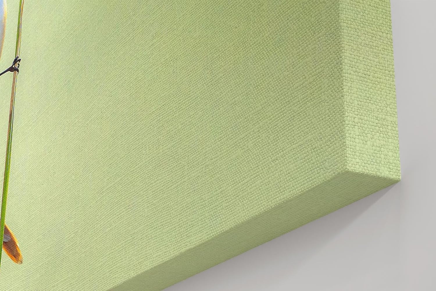 Sinus Art Wandbild 120x80cm Zwei Bartmeisen auf Schilfrohren – ruhige Komposition mit hohem ästhetischen Wert