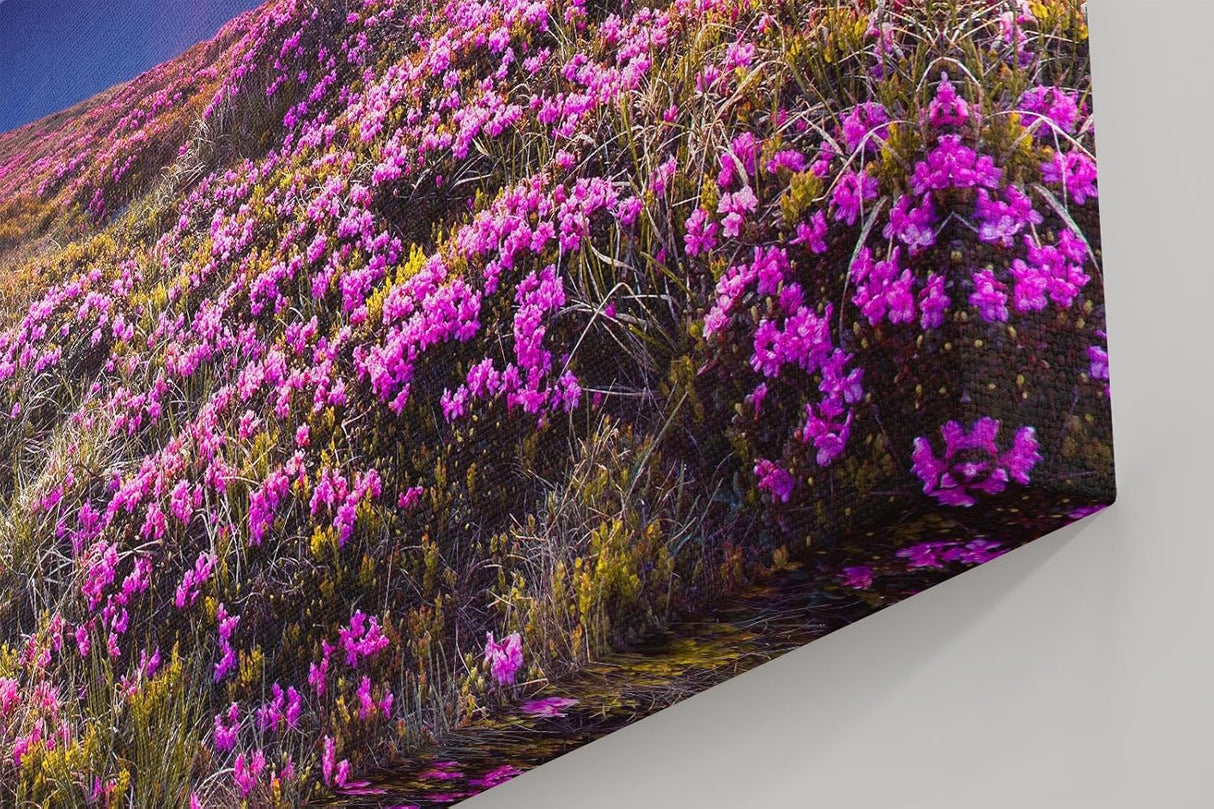 Sinus Art Wandbild 120x80cm Farbintensive Blumenwiese mit lila Blüten unter farbenfrohem Abendhimmel