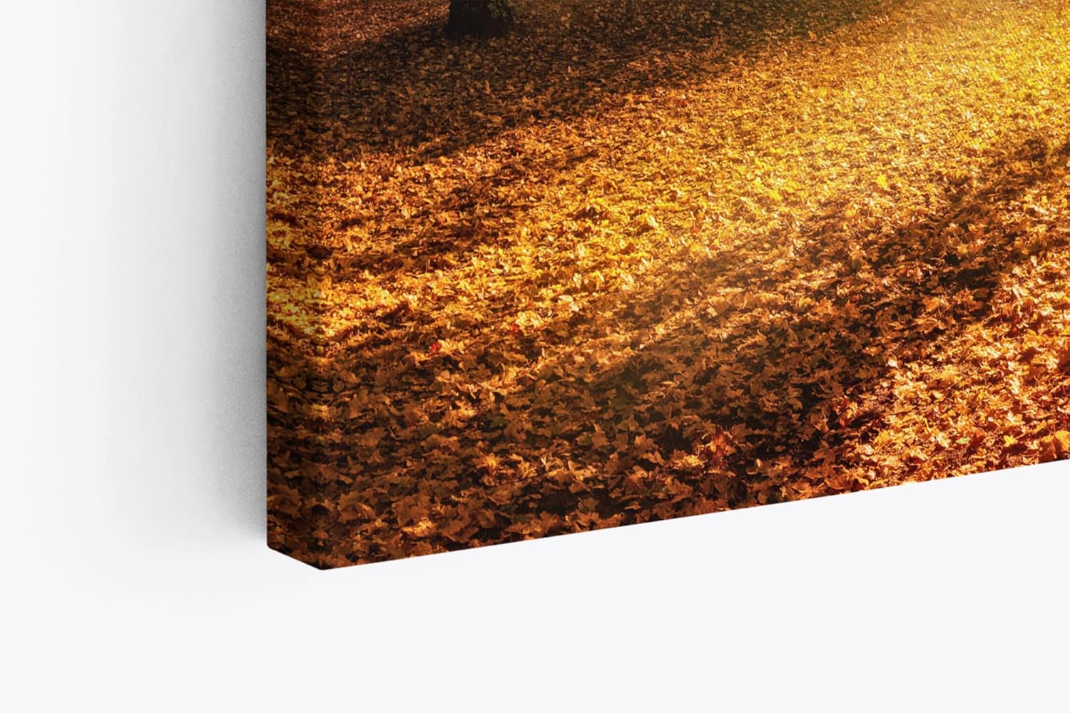 Paul Sinus Wandbild 120x80cm Herbst Herbstblätter Laub Sonnenstrahlen Baumkrone