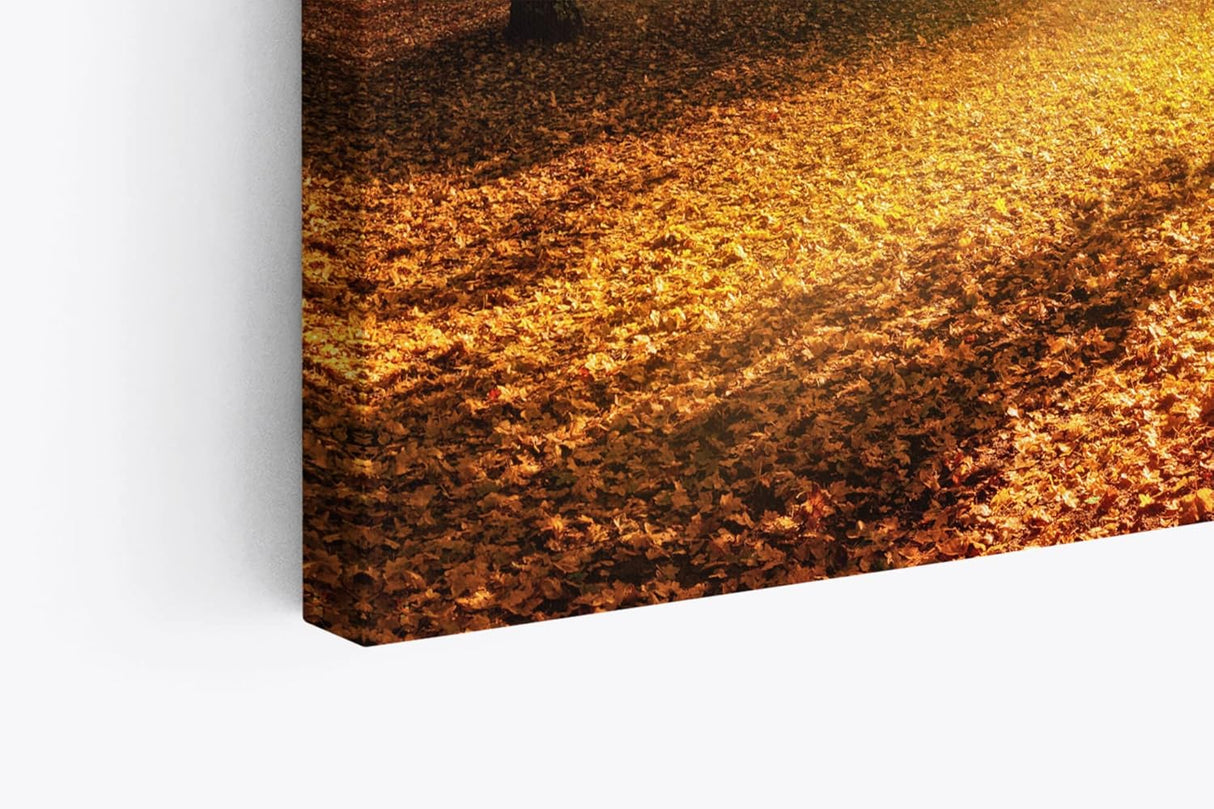 Paul Sinus Wandbild 120x80cm Herbst Herbstblätter Laub Sonnenstrahlen Baumkrone