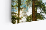 Paul Sinus Wandbild 120x80cm Alpensee See Alpen Berge Landschaft Bäume Schneegipfel