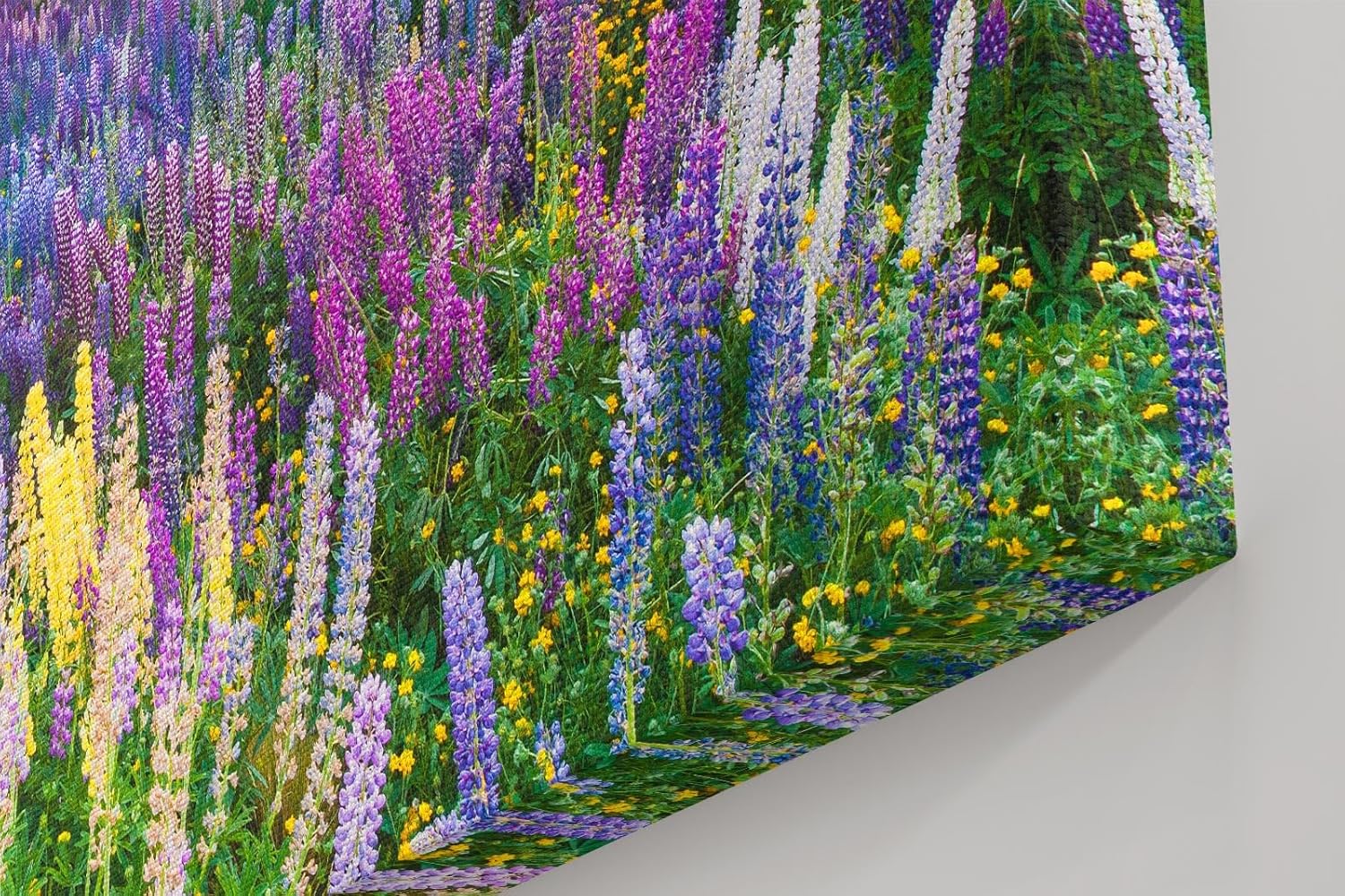 Sinus Art Wandbild 120x80cm Blühendes Lupinenmeer unter dramatisch gefärbtem Himmel – kraftvoll und inspirierend