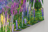 Sinus Art Wandbild 120x80cm Blühendes Lupinenmeer unter dramatisch gefärbtem Himmel – kraftvoll und inspirierend