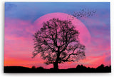 Paul Sinus Wandbild 120x80cm Baum Vollmond Nacht Fantasievoll Vögel Rosa