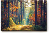 Sinus Art Wandbild 120x80cm Waldweg durch herbstlich gefärbten Wald mit Lichtspiel für gemütliche Raumwirkung