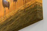 Sinus Art Wandbild 120x80cm Die Kraniche in der goldenen Landschaft erzeugen ein Gefühl von Freiheit und Frieden