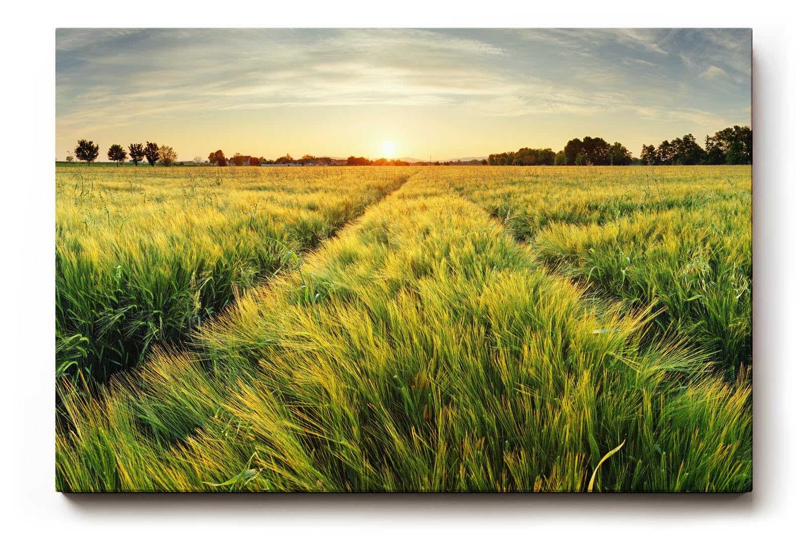 Sinus Art Wandbild 120x80cm Sonnenuntergang über einem weitläufigen Feld voller goldener Halme – friedlich und inspirierend