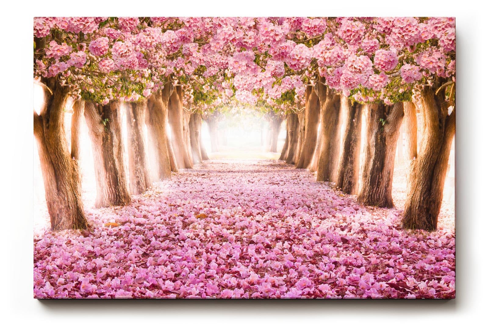 Sinus Art Wandbild 120x80cm Märchenhafter Weg unter rosa Blütenbäumen mit Perspektive und Tiefe