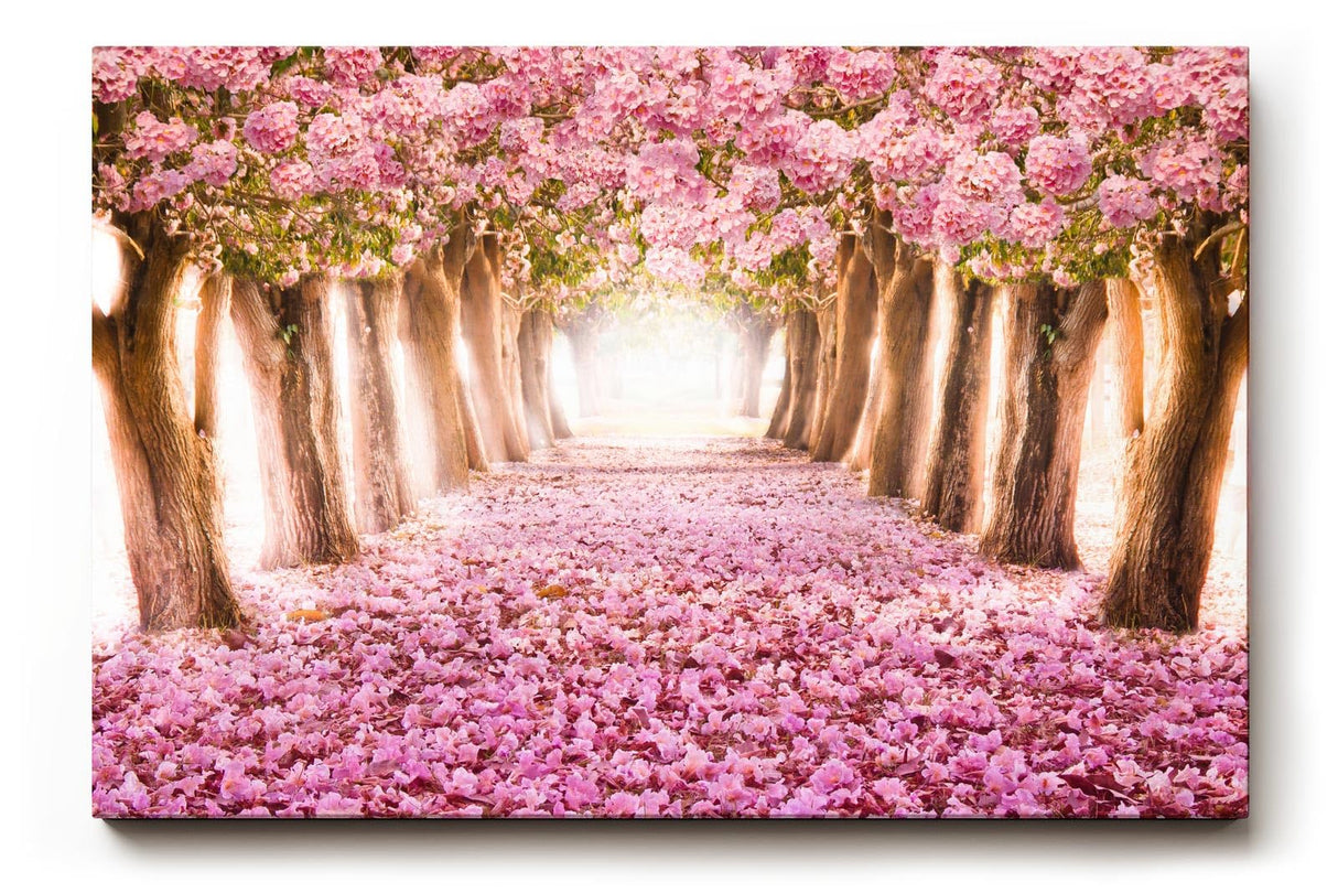 Sinus Art Wandbild 120x80cm Märchenhafter Weg unter rosa Blütenbäumen mit Perspektive und Tiefe