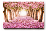 Sinus Art Wandbild 120x80cm Märchenhafter Weg unter rosa Blütenbäumen mit Perspektive und Tiefe