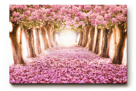 Sinus Art Wandbild 120x80cm Märchenhafter Weg unter rosa Blütenbäumen mit Perspektive und Tiefe