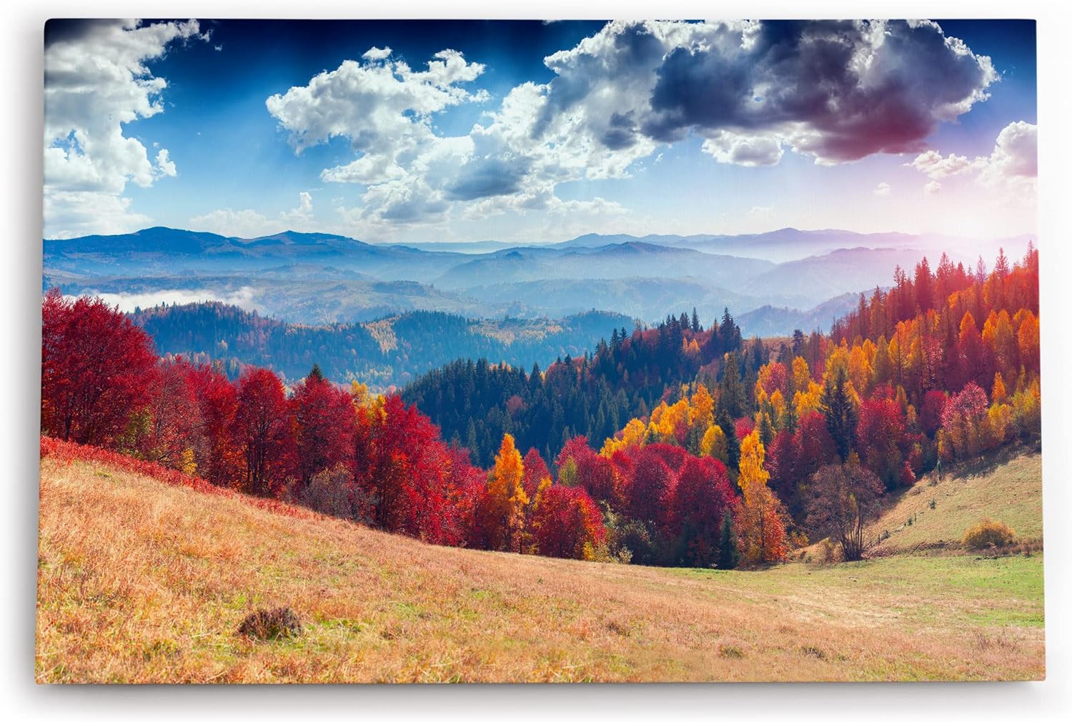 Paul Sinus Wandbild 120x80cm Berge Tannenwald Wald Wolken Natur Landschaft