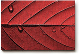 Sinus Art Wandbild 120x80cm Perfektes Motiv für alle, die grafische Naturästhetik mit Eleganz verbinden