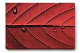 Sinus Art Wandbild 120x80cm Perfektes Motiv für alle, die grafische Naturästhetik mit Eleganz verbinden