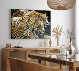 Paul Sinus Wandbild 120x80cm Jaguare Raubkatzen Tierfotografie Wild Fotokunst