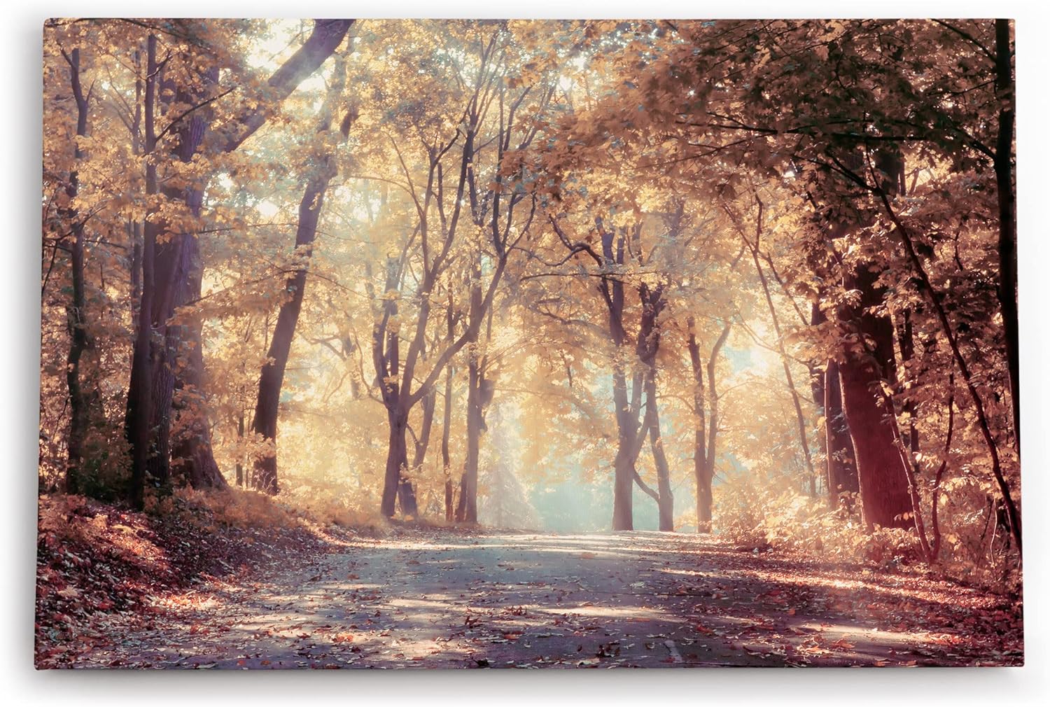 Paul Sinus Wandbild 120x80cm Wald Waldweg Natur Bäume Sonnenstrahlen Herbst
