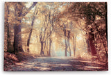 Paul Sinus Wandbild 120x80cm Wald Waldweg Natur Bäume Sonnenstrahlen Herbst