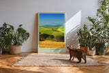Paul Sinus Kunstdruck 40x60cm Tuscany – sanfte Hügel der Toskana im goldgrünen Sommerlicht